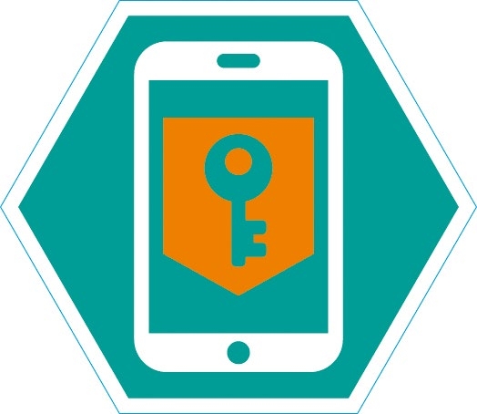 Insigne Cyber Security Oranje.png