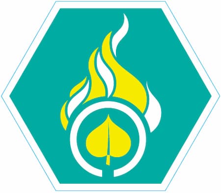 Insigne Vredeslicht Geel.png