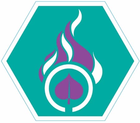 Insigne Vredeslicht Paars.png