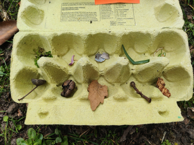 Tegenstellingen uit de natuur