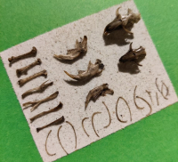 Uilenbraakbal uitpluizen