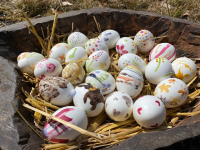 Camouflage eieren van Chil, Marala en Mor