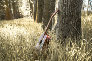 Kampband