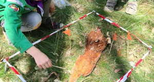 Excursie op de vierkante meter jungle