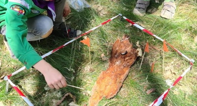 Excursie op de vierkante meter jungle