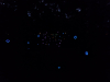 Glowstickspel
