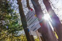 Verzin en vorm je verkeersbord